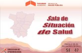 DIRECCION DE EPIDEMIOLOGIAmsptucuman.gov.ar/wordpress/wp-content/uploads/2013/07/sala-se-47.… · Casos de Dengue notificados, confirmados y tasa de incidencia en el Cono Sur. Año
