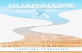 LIBRO DEL PEREGRINO - Guadalupe · 2020. 7. 30. · indulgencia. 17 El don de la indulgencia ¿Qué es cruzar la puerta? Pudiera parecer que cruzar la puerta fuese dar un mero paso