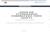 GUIA DE ITINERARIO FORMATIVO TIPO (GIFT)...se puede describir los recursos materiales y técnicos, como el equipamiento. Se debería de indicar, además, los principios de la formación