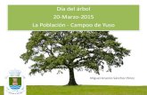Día del árbol 20-Marzo-2015 La Población - Campoo de Yuso · Día del árbol 20-Marzo-2015 La Población - Campoo de Yuso Miguel Arsenio Sánchez Pérez . MADERA MUERTA . Dentro