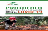PROTOCOLO - Cámara del Agro · Agroindustria de aceite de palma de Guatemala 3 GREPALMA La transmisión se refiere a la capacidad de un organismo de pasar de un individuo a otro