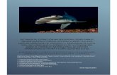 DICTAMEN DE EXTRACCIÓN NO PERJUDICIAL (DENP) PARA EL · Dictamen de Extracción No Perjudicial para el tiburón martillo común (Sphyrna lewini) y las dos especies semejantes (S.