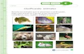 Inicio - Curriculum Nacional. MINEDUC. Chile. · Web viewClasificando animales Recorta los animales que se presentan a continuación. Pega cada animal en el grupo al que pertenece