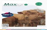 Maxigro - Lapisa · Agente anabólico no hormonal para bovinos y ovinos a base de Zeranol. Mejora la conversión alimenticia mediante la optimización del metabolismo proteico. Maxigro®
