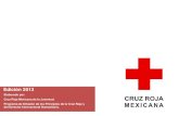 Edición 2013 - Cruz Roja Mexicana...Edición 2013 Elaborado por: Cruz Roja Mexicana de la Juventud. Programa de Difusión de los Principios de la Cruz Roja y del Derecho Internacional