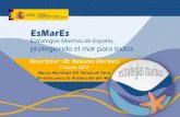 Descriptor 10: Basuras Marinas - AMBIENTE EUROPEOambienteeuropeo.org/wp-content/uploads/2017/04/Marta... · 2017. 4. 2. · 10.1 Características de los desechos en el medio marino