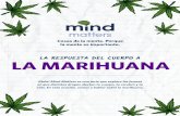 LA RESPUESTA DEL CUERPO A LA MARIHUANAintegratedrecovery.org/wp-content/uploads/2019/12/... · Sí, es posible volverse adicto. Con el tiempo, la marihuana puede modificar la forma