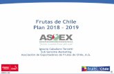 Frutas de Chile Plan 2018 – 2019fruitsfromchile.com/.../06/Marketing-ASOEX-2018.pdf · •Organización gremial privada sin fines de lucro • Fundada en 1935. • Miembros: Exportadores