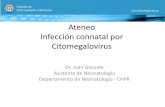 Ateneo Infección connatal por Citomegalovirus · • Diagnóstico de infección por CMV durante el embarazo. • En este caso la madre se comporta como inmuno-competente dado que