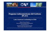 Programa Latinoamericano del Carbono (PLAC) · Programa Latinoamericano del Carbono (PLAC) Maria Teresa Szauer Director Environment Department Vice-presidency of Social Development