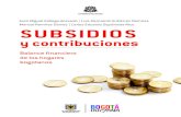 Juan Miguel Gallego Acevedo | Luis Hernando Gutiérrez Ramírez … · 2018. 8. 10. · impuestos y de agregar los subsidios. Sin embargo, como lo advierten los espe-cialistas, en