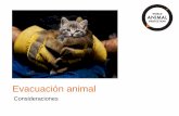 World Animal Protection PowerPoint Presentation€¦ · Justificación Como parte de las acciones de asistencia durante la atención de eventos desastrosos, en ocasiones se requiere