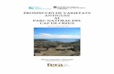 Prospecció de varietats antigues al PN del CAP DE CREUS. 2010 - … · Prospecció de varietats antigues al Parc Natural del Cap de Creus 3 1. RESUM DEL TREBALL La prospecció etnobotànica