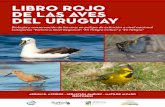  · 1 Libro Rojo de las Aves del Uruguay BIOLOGÍA Y CONSERVACIÓN DE LAS AVES EN PELIGRO DE EXTINCIÓN A NIVEL NACIONAL CATEGORÍAS “EXTINTO A NIVEL REGIONAL”, “EN PELIGRO
