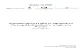 Resumen Ejecutivo PCIM 14 feb - ccai-colombia.orgccai-colombia.org/files/primarydocs/0802line.pdf · Indicadores para el monitoreo de procesos y resultados. ... Los perfiles de proyecto