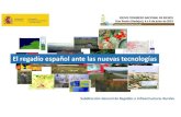 SERVICIOS DE INGENIERIA Y ARQUITECTURA S.L - El regadío español ante las nuevas ... · 2019. 6. 12. · Subdirección General de Regadíos e Infraestructuras Rurales. El regadío
