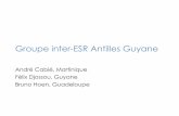 Groupe inter-ESR Antilles Guyane - Infectiologie · 2016. 11. 7. · Missions du Cemie (Psage dengue 2006) Apporter un appui à l’interprétation des résultats de la surveillance