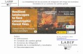 Presentación de PowerPoint forest...La rentabilidad de las acciones de mitigación del riesgo de incendios forestales en un contexto de cambio global Índice Definiciones Contexto