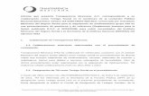 Informe que presenta Transparencia Mexicana, A.C ... · 2.2. Revisión del marco normativo del procedimiento de adquisición de bienes De conformidad con el artículo 251, fracción