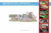 MAQUETACIÓN MÉTODOS DE EUTANASIA · 3 BIENESTAR ANIMAL. Métodos de eutanasia y aturdimiento XUNTA DE GALICIA Consellería do Medio Rural e do Mar Santiago de Compostela 2015