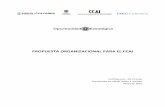 PROPUESTA ORGANIZACIONAL PARA EL CCAIccai-colombia.org/files/primarydocs/1005prop.pdf · Propuesta de modelo organizacional para CCAI _____ 56 A. Estructura de la organización _____