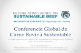 Conferencia Global de Carne Bovina Sustentable€¦ · las oportunidades y desafíos de la alimentación global. ... Identificando, desarrollando y validando medidas métricas del
