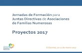 Juntas Directivas de Asociaciones de Familias Numerosas · Además: Actividades ordinarias en 2017 Reivindicaciones: Acciones, reuniones, propuestas, campañas, etc. Jornadas de formación