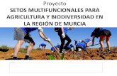 Proyecto SETOS MULTIFUNCIONALES PARA AGRICULTURA Y ... · BREVE RESÚMEN Implementar setos de vegetación multifuncionales en el entorno de las diferentes tipologías de cultivos