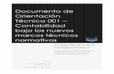 Documento de Orientación Técnica 001 – Contabilidad bajo ... PDF/doc_ctcp_458.pdfestructura del proceso contable para el país. “La contabilidad es un sistema de control de naturaleza