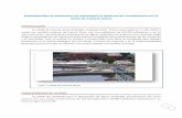 Eliminación del Bulking de la EDAR de Puente Genilcidta.usal.es/cursos/bioindicacion/modulos/curso/PDF/UNIDAD 5/BIB… · 1 ELIMINACIÓN DE EPISODIOS DE DESARROLLO MASIVO DE FILAMENTOS