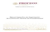 Manual Específico de Organización de la Dirección General de … · 2020. 1. 15. · durante la Quinta sesión ordinaria del 2007 (13-09-2007). Manual Específico de Organización