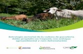 Estrategia sectorial de la cadena de ganadería doble ... Vision_Amazonia...agricultura eco-eficiente —es decir, competitiva y rentable así como sostenible y resiliente. Con su