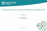 Evaluación de los recursos forestales mundiales (FRA) 2020 Paraguay - Informe · 2020. 7. 16. · Informe FRA 2020, Paraguay 4 Introducción Elaboración de informes y personas de