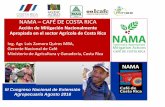 NAMA – CAFÉ DE COSTA RICA 19 - 05... · 2019. 11. 19. · de 81 cantones producen café (73%) La actividad cafetalera en Costa Rica se extiende a lo largo de todo el país y convive
