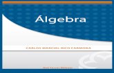 ÁLGEBRAaliat.org.mx/BibliotecasDigitales/ingenieria/Algebra.pdf · 2015. 6. 4. · 11 1.1 NOCIÓN DE CONJUNTO Y ELEMENTO Un conjunto es cualquier colección de objetos del mismo