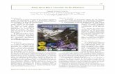Atlas de la flora vascular de los Pirineos - AHIMBoletín de la AHIM, 16: 39-40 (2014). ISSN 1136-5048 39 Atlas de la flora vascular de los Pirineos Daniel GÓMEZ GARCÍA Conservador