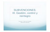 Diputación Provincial de Almería - SUBVENCIONES. III. Gestión, … · del gasto (A) Fase 2: Aprobación de la concesión (beneficiarios) y disposición del gasto (D) Fase 3: Aprobación