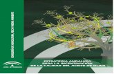 ESTRATEGIA ANDALUZA PARA LA INCENTIVACION DE LA … · estrategia andaluza para la de incentivaciÓn de la calidad del aceite de oliva 28 7.1. unificacion de normativa de calidad