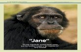 “Jane” · DR. JANE GOODALL (Fundadora del Jane Goodall Institute y Mensajera de la Paz en las Naciones Uni-das) nació el 3 de abril de 1934 en Londres, Inglaterra. A los 26 años