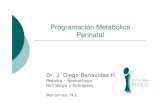 New Programación MetabólicaProgramación Metabólica Perinatalrespyn2.uanl.mx/especiales/2008/ee-07-2008/documentos/... · 2008. 7. 24. · Peso bajo al nacer {Si una madre disminuye