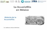 La Acuariofilia en México de la... · aqua hobby (juan m. vázquez) aqua center (luis c. vázquez) acuarios borrayo ( fam. borrayo) biotopos y aquascaping. nuevos retos * reactivar