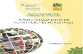 New INDICE - Formación Técnica Profesional Bolivia · 2017. 3. 29. · Un perfil profesional generalmente se traduce en un Programa de Formación modular y flexible, con múltiples