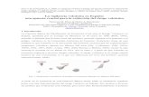 New La vigilancia volcánica en España: una apuesta crucial para la …propietarios.iter.es/pdf/medioambiente/2008_04_29_perez... · 2009. 3. 25. · natural; el fenómeno volcánico.