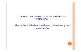 TEMA 1 .EL ESPACIO GEOGRÁFICO ESPAÑOL: tipos de ......El espacio geográfico español La composición del territorio: pgg p • Tamaño: 505.987 km2 • Zona templada hemisferio