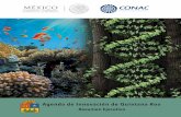 Agenda de Innovación de Quintana Roosede.qroo.gob.mx/portal/descargas/2015/AgendaInnovacion... · 2015. 9. 2. · AGENDA ESTATAL DE INNOVACIÓN ESTADO DE QUINTANA ROO 4 5 Índice