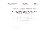 ROMANESOS I SALUT ALS BARRIS DE CATALUNYArevista-redes.rediris.es/recerca/SALUT_UAB_INTERNET/pdf/...per exemple, d’integrar-me en determinades xarxes socials de romanesos 1 La població