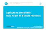 Agricultura sostenible: Guía Fantade Buenas Prácticas 2016/19… · GUIA FANTA DE BUENAS PRÁCTICAS AGRÍCOLAS COCA-COLA, más allá de su actividad de producción y comercialización