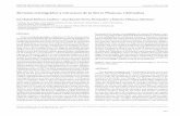 Revisión estratigráfica y estructura de la Sierra Plomosa ... · cuenca de Chihuahua o Chihuahua trough (Hennings, 1994; Haenggi, 2001, 2002; Franco-Rubio, 2007; Oviedo-Padrón