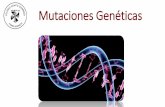 Mutaciones Genéticas · Mutaciones Genéticas . APRENDIZAJES ESPERADOS • Comprender qué es una mutación. • Reconocer algunos tipos de mutaciones cromosómicas. • Conocer