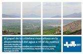 El papel de la criósfera montañosa en la disponibilidad del agua …€¦ · Seminario: Hidrología Andina para el manejo de los recursos hídricos: conceptos y herramientas, Noviembre